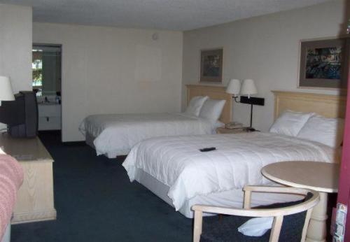 Live In Lodge Gainesville Room photo